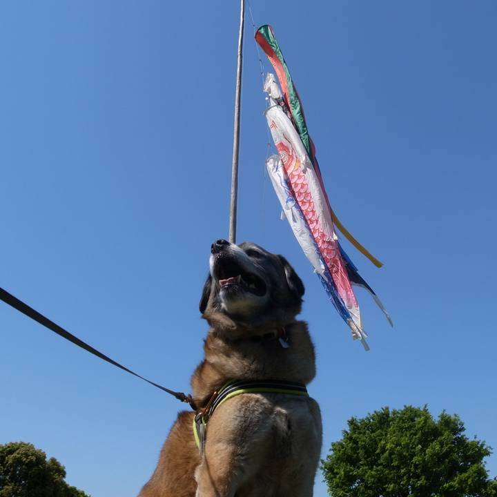 59bd32e5 b329 4012 9ec3 23ad2a52a3c6 1585615532395