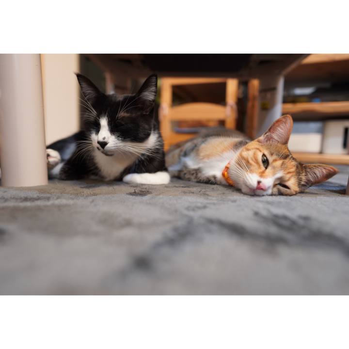 59bd350a f547 42e4 9048 606668edd82f 1607783009519