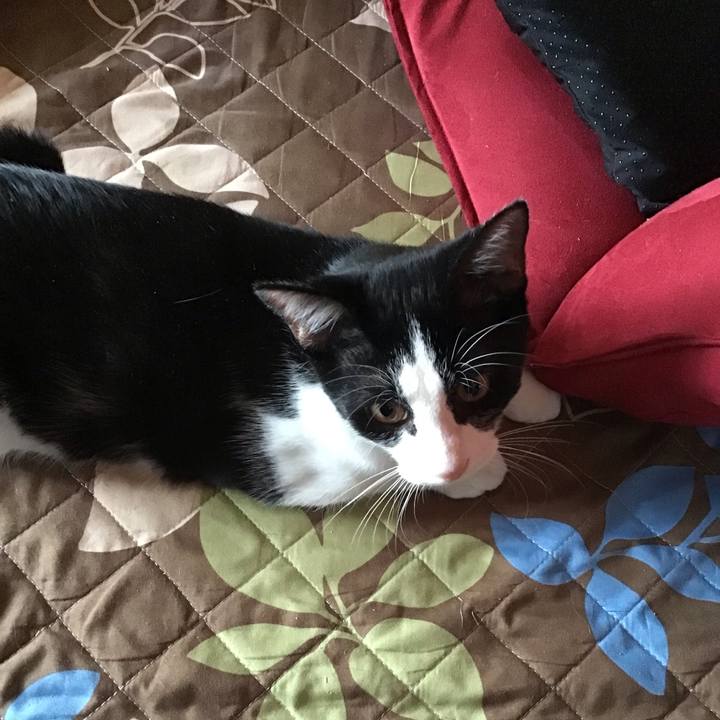 59bd3e62 4e01 476a 827e 973bb01df8e3 1633670949320