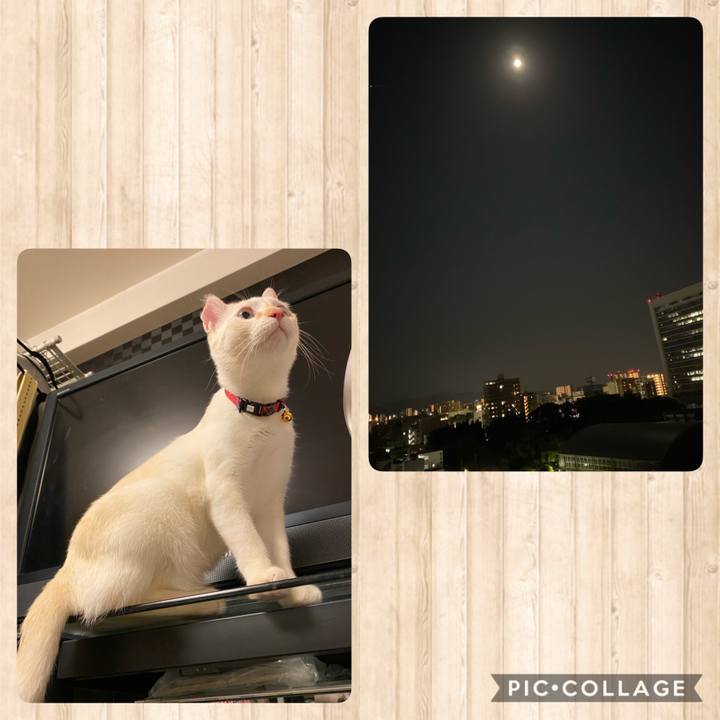 59bd4e36 6610 46ef 970b ded4f62c43e9 1601564552014