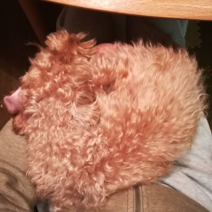 59bd55f7 1663 484f 81b5 f9f938161ea4 1577396969847