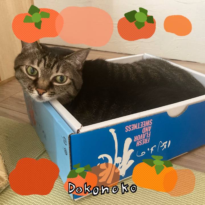 59bd60c7 c2da 4c55 a2f0 3a53d1d108b5 1761193756215