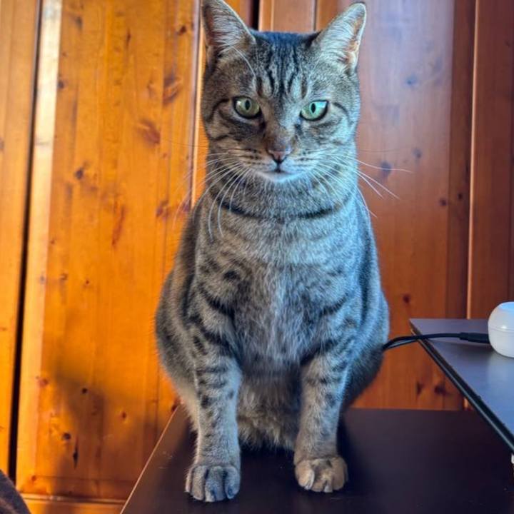 59bd6aec 342d 4bf1 ae0d 97fe998130ed 1771541629172