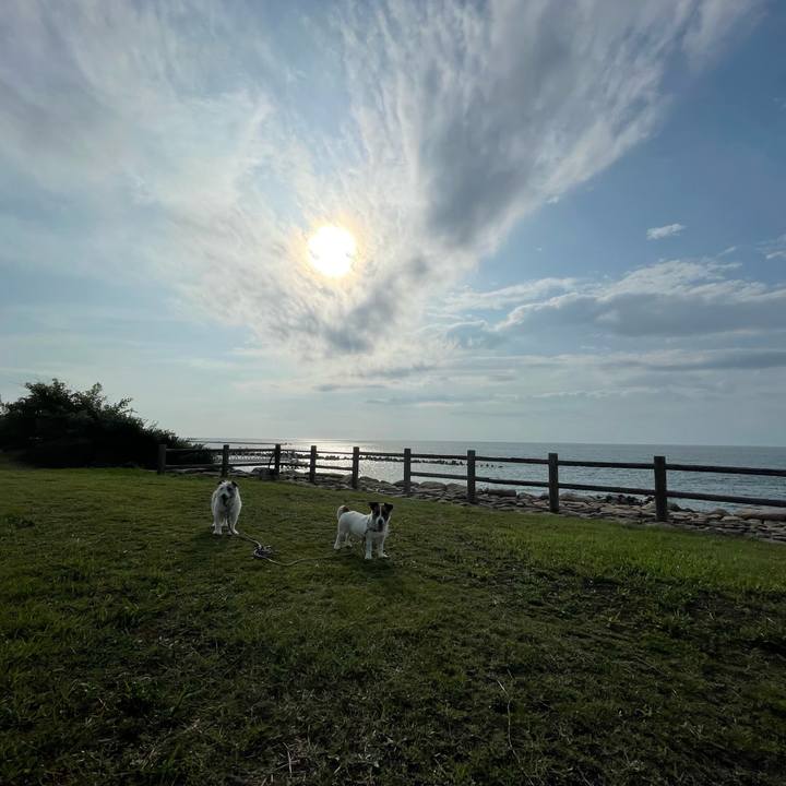 59bdaf6c 3e60 496a 9bdb 094dce45aa7c 1721897755630