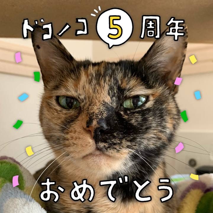 59bdc0eb 1f90 45f4 8587 a91d6bec38c8 1622855424799