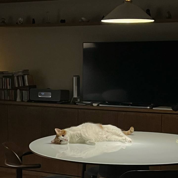 59bdc85f 80e9 4dc1 bd92 1c2651a88104 1763167625954