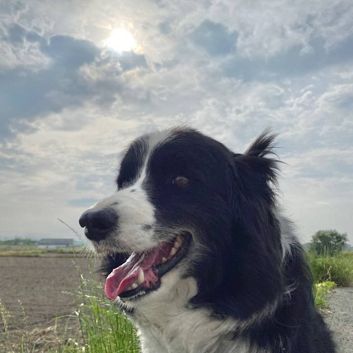 59bdd870 4a36 400d a521 e54b09191722 1591138902489