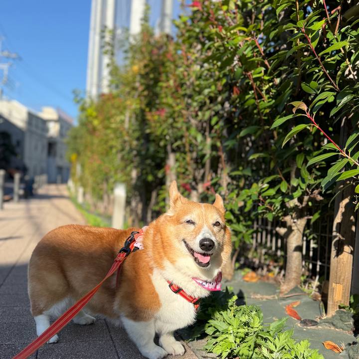 59be147f 722a 4eee 9ffb 975264237a3c 1763355021965