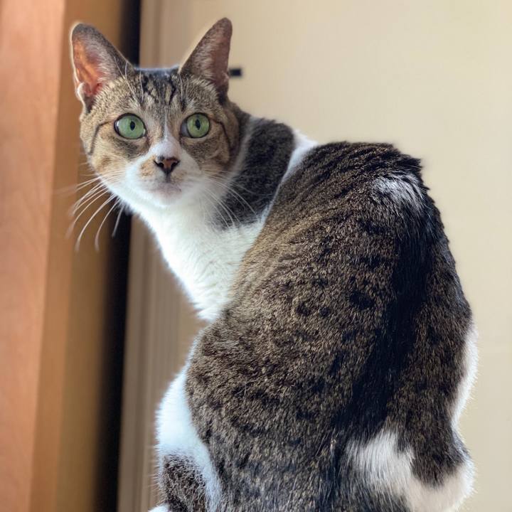 59be9294 ca1f 4eff 9036 e7c1498ef991 1571877674240