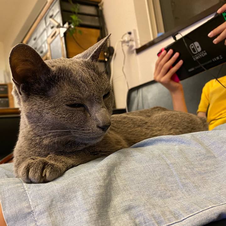 59be9dbb cfc7 45fb b3bf ef26d5d307a1 1625393810727