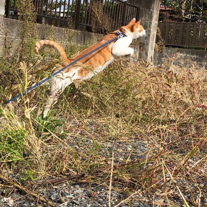 59beab3c b717 4ee4 8143 5f7be0c3db5c 1539580014397