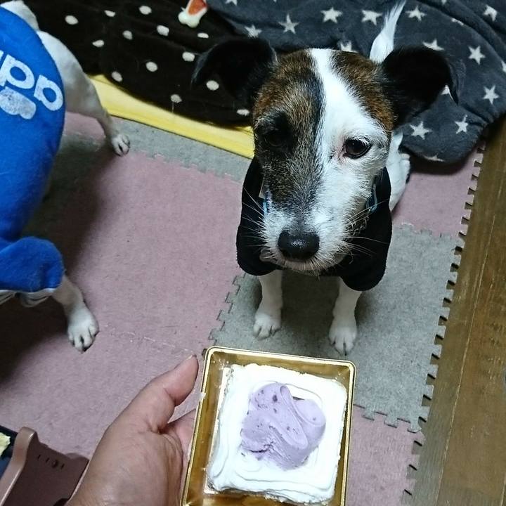 59bec3d4 7950 4a16 85e0 13e5447a15a5 1548854192179