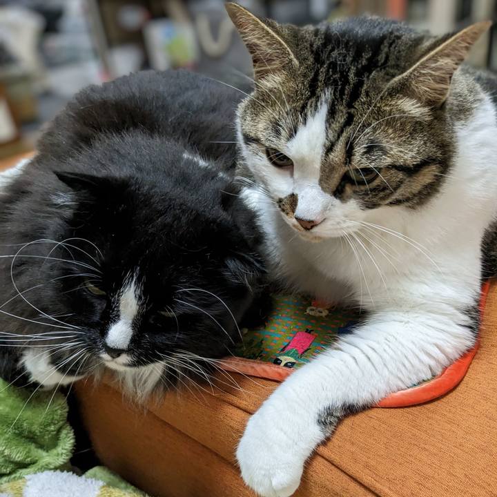 59beddb1 ffe3 4d54 8bf1 da4cd40f75fd 1685669084265