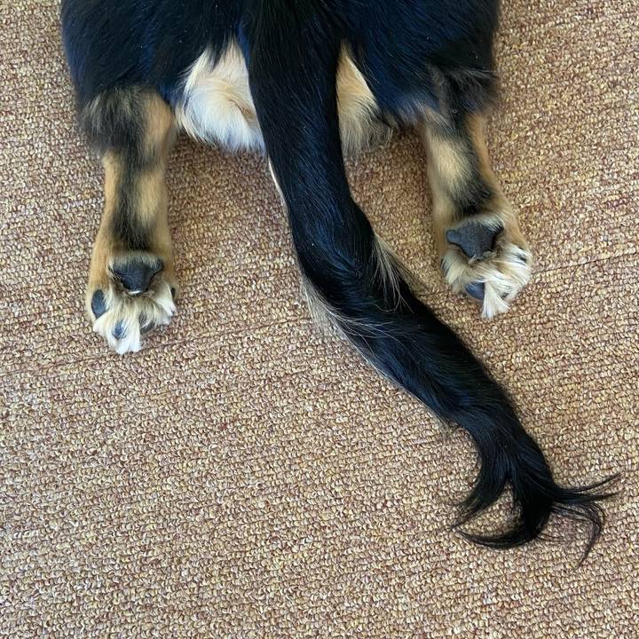 59bee705 026e 464f a026 0a680e505786 1674174858472