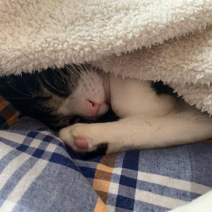 59bf23a4 6ded 417e b7ed 3284c5e9b429 1556330209154