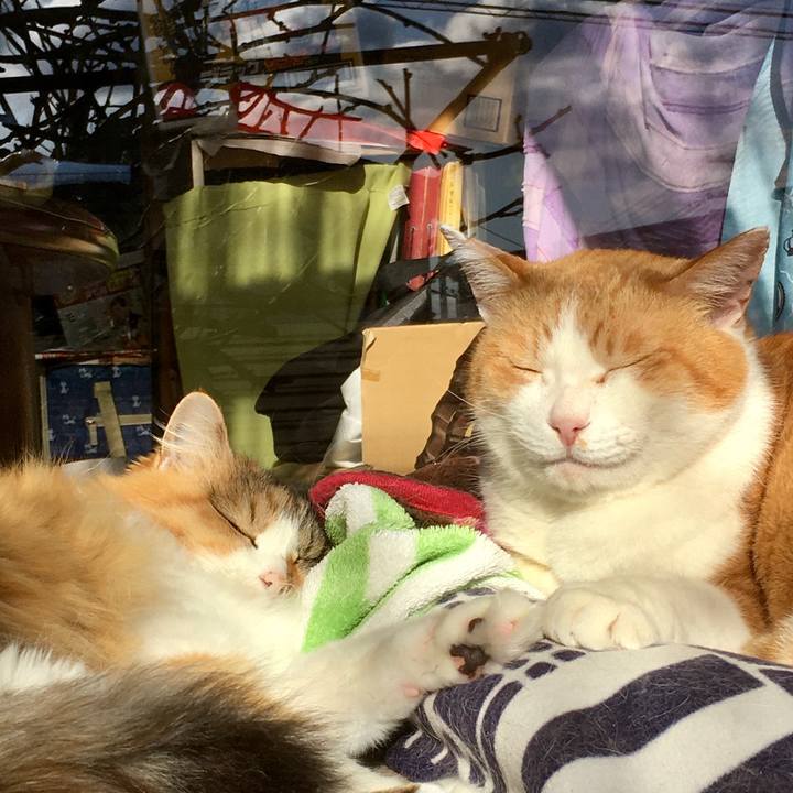 59bf4173 fa1f 40f7 868a ef957519be1a 1614569657100