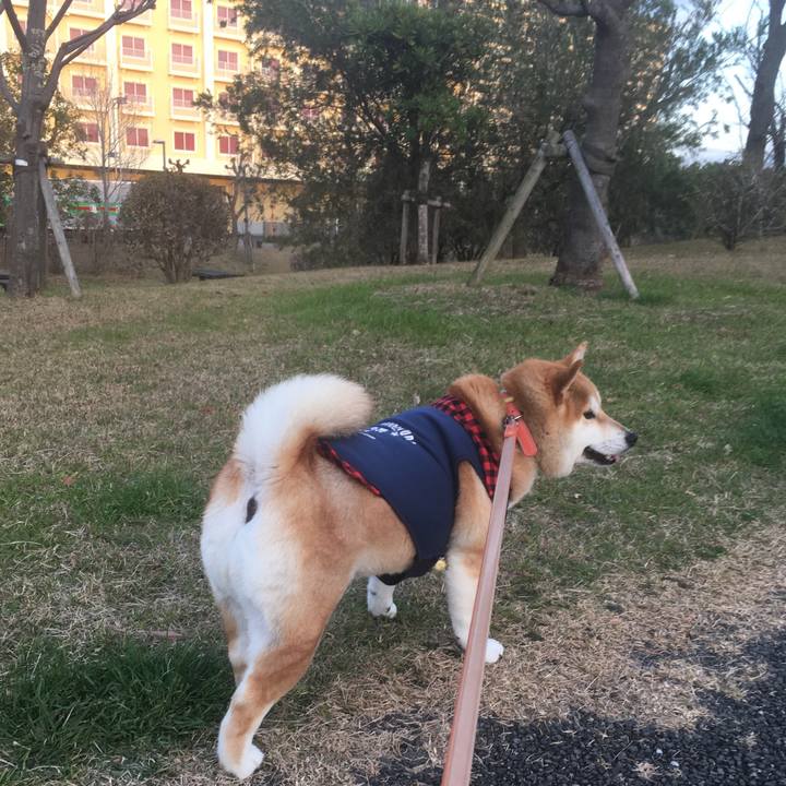 59bf8488 85e1 4b48 81ce 799c5e19f032 1545381625097