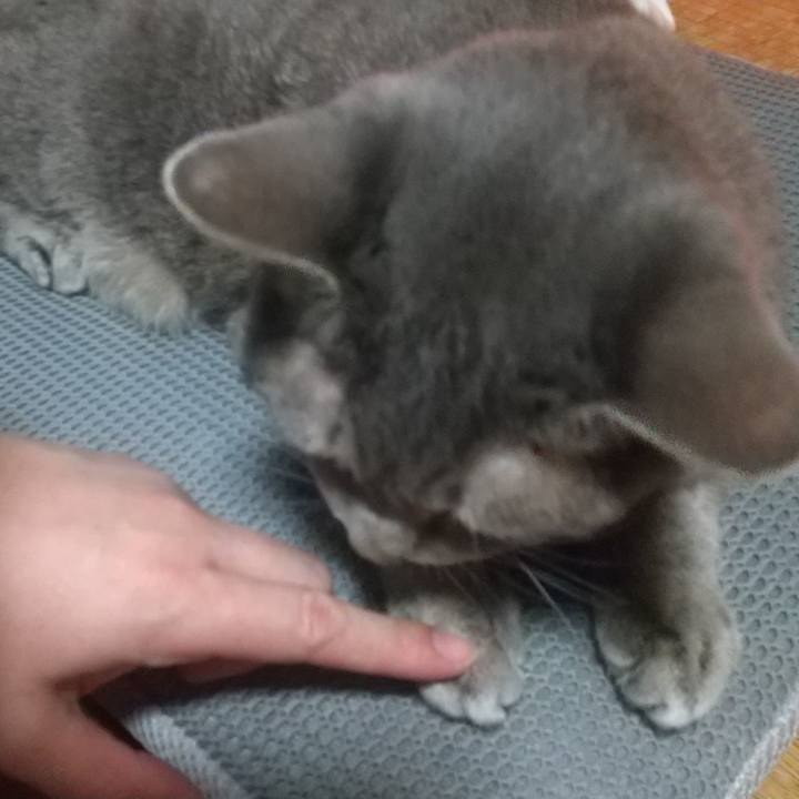 59bf88e2 662e 4e1e a2c7 c8d55b406148 1666434783528