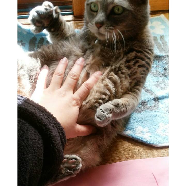 59bf8a35 5165 4b6b 8a7c c18611d8422e 1516846117195