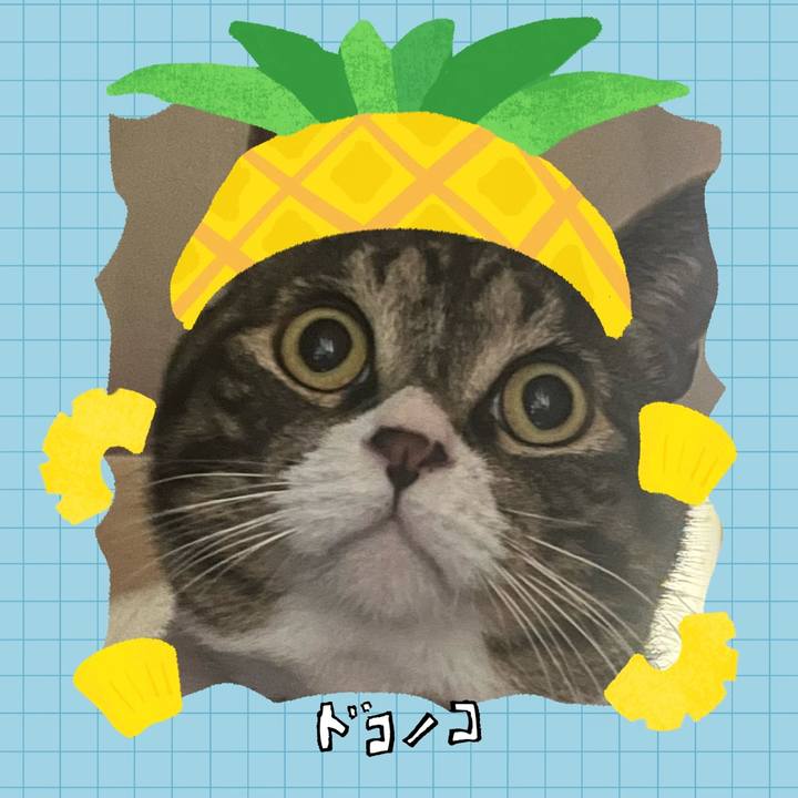 59bfbe42 0427 4b0f b917 de9216b18d15 1783380172273