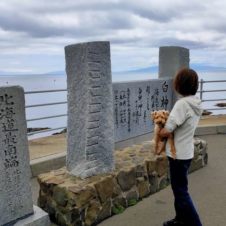 59bfc780 a0ff 42e3 99f1 daa30fc8deb4 1592617888124