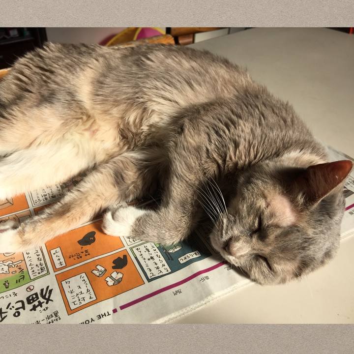 59bff929 ca06 414e 8734 9b3f628fa0c1 1515070796597