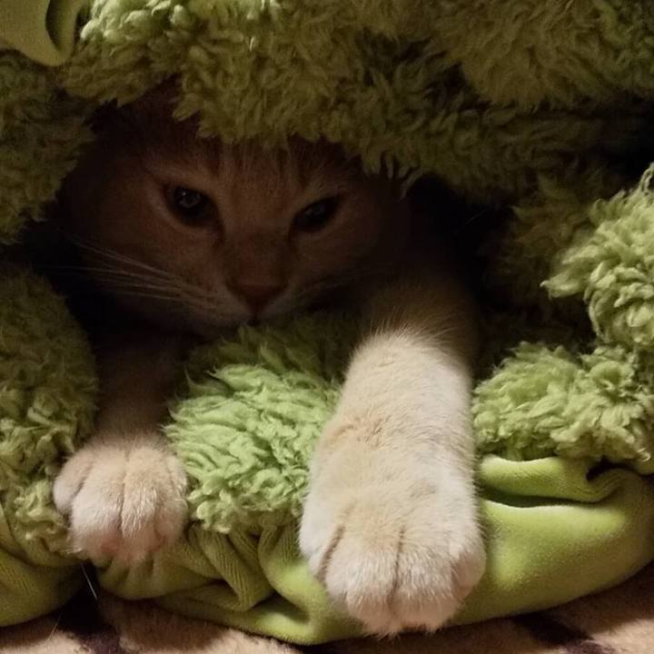 59bffc2e b170 4ef8 8beb 18f36f2aac5f 1603370862699