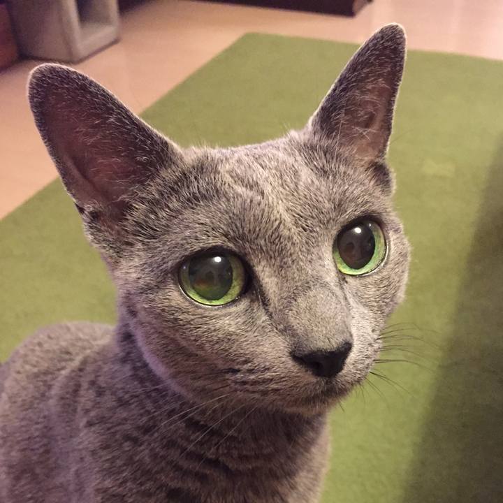 59c00ac3 5b1e 4f19 878d 39dbf21aafb2 1659698138383