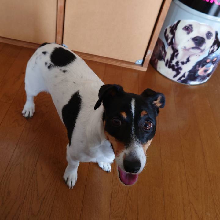 59c01693 4945 4a29 8afd 5e7ee363653c 1689388118819