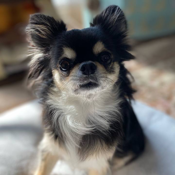 59c03ec7 25f1 4775 9e39 68d99d068bdc 1636544552789