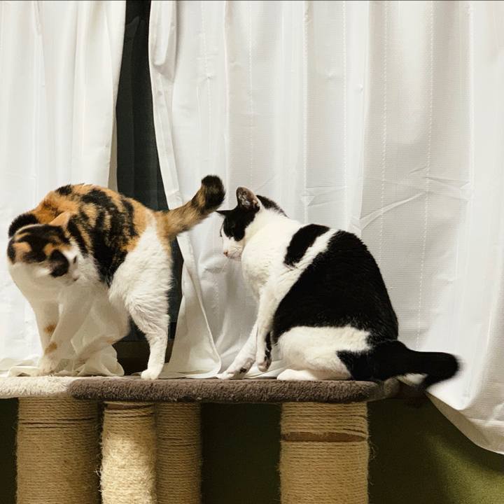 59c04ce1 181a 48c7 a433 3d451437d3d9 1555641307678