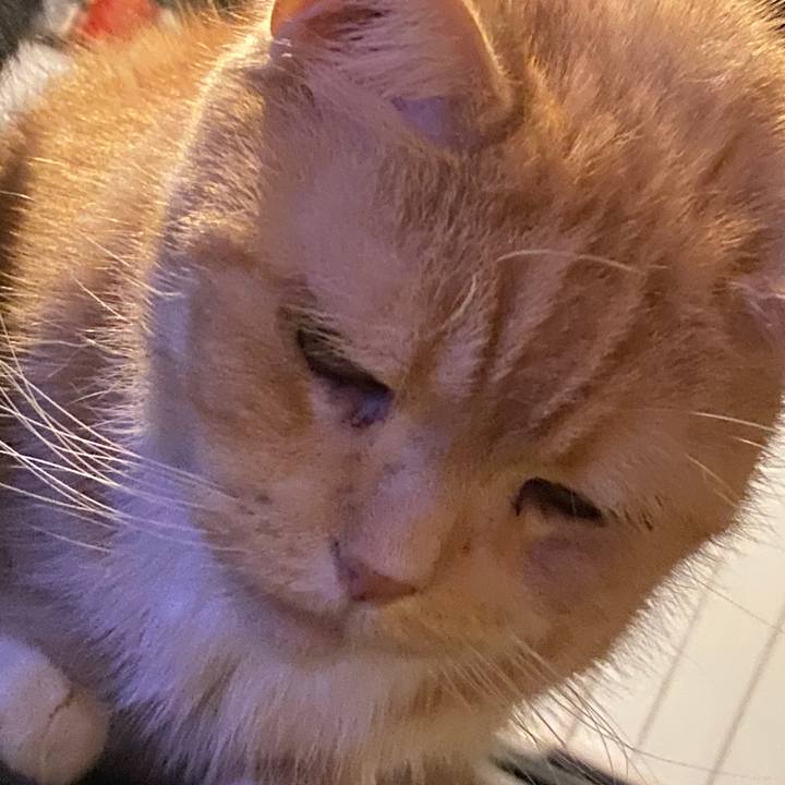 59c091dd cc87 4726 87dc a901e5c96394 1588761566882