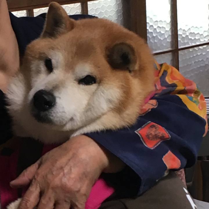 59c09219 3177 4e3c a9c7 ae12dc325928 1534896799049