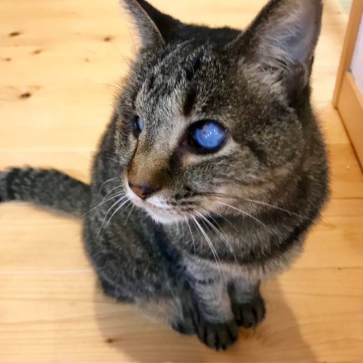 59c0d2f8 1c43 4281 9783 c12b45b7f8c4 1562571854144