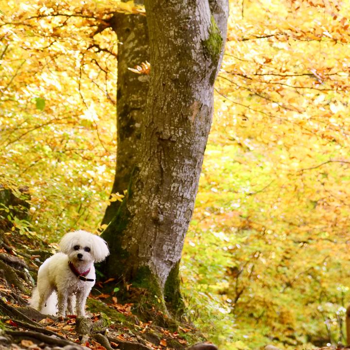 59c0e3eb 47a5 4362 bc86 68c8fa95a827 1761420857008