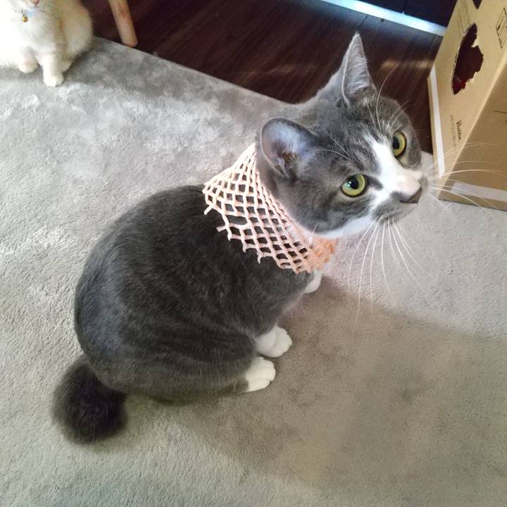 59c101d6 91de 4a5b bd4d 3a872ba11403 1605320006259