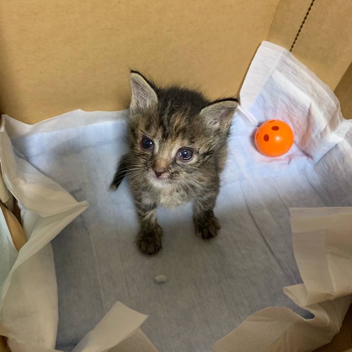 59c10986 6202 4474 b473 527180005d9c 1556627399437