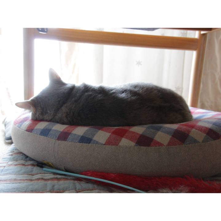 59c1216a 56b3 4752 92ff 2cada7cee325 1622363546221