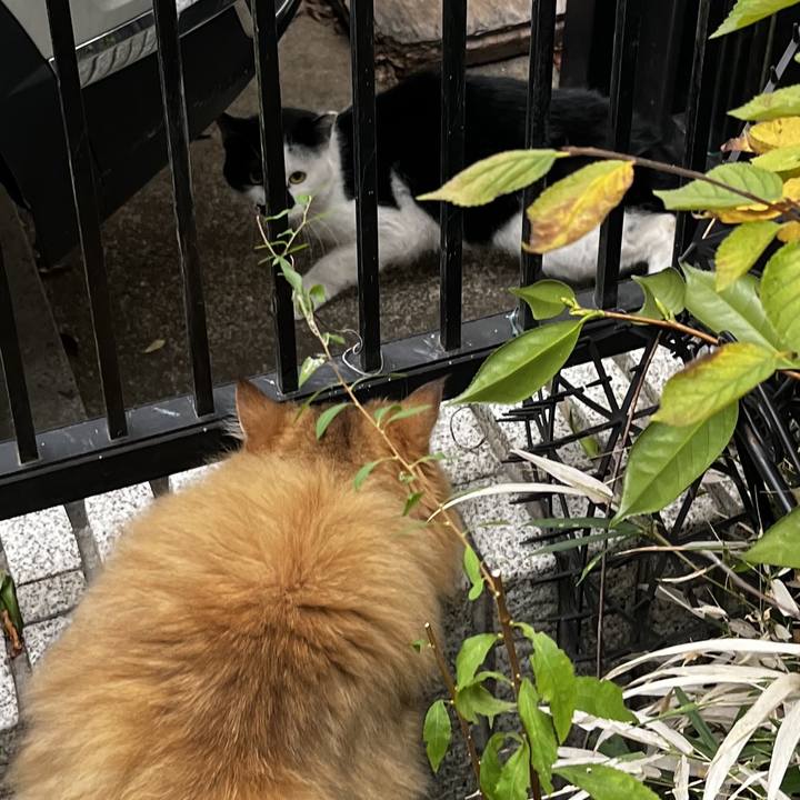 59c12fc4 d8fa 4183 a2dc c607380ac93a 1763033585678