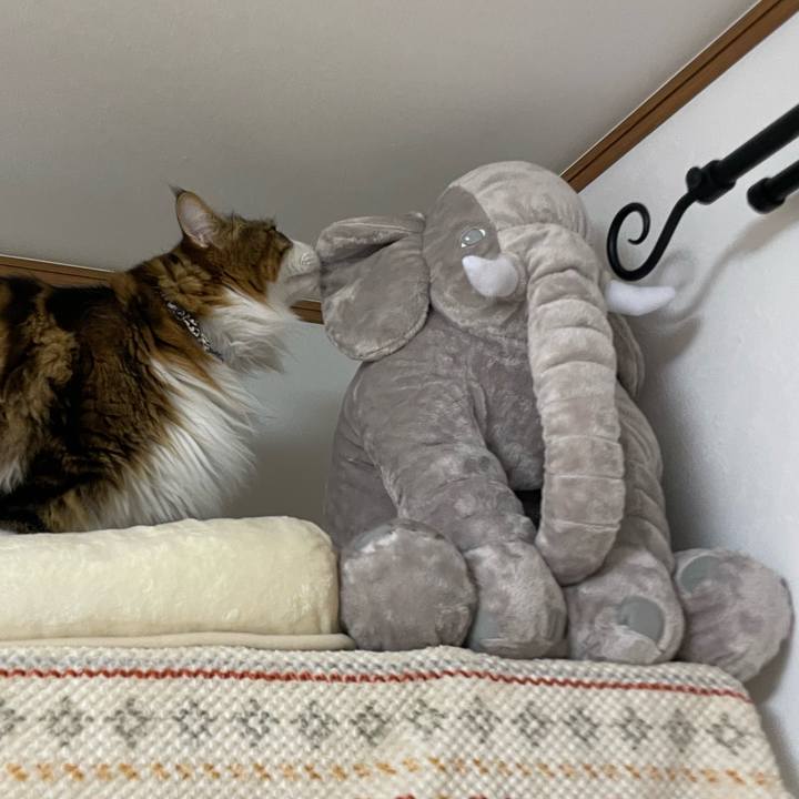 59c142e8 14c8 4275 850d ff1d0ff84983 1733519362293