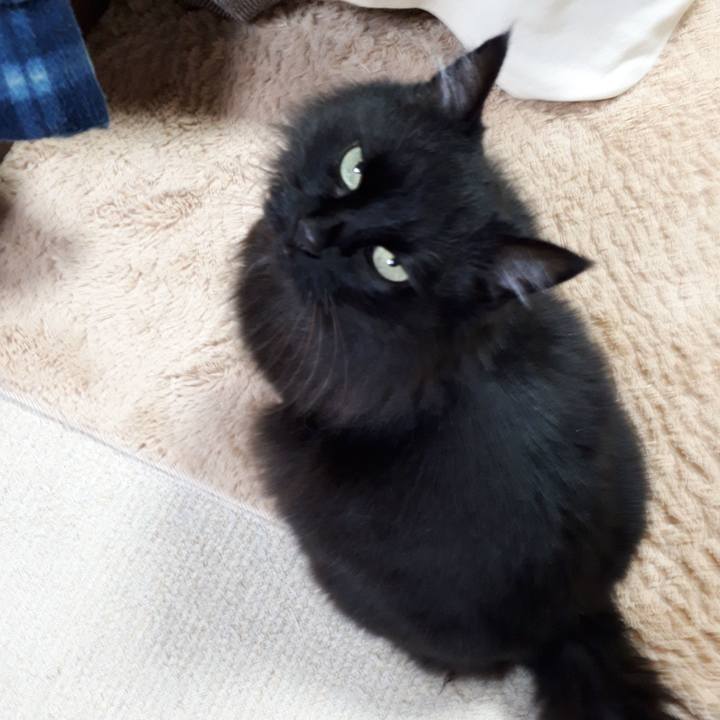 59c15baa 01ff 4ce3 a4dc 7944cd51bb38 1523186743516