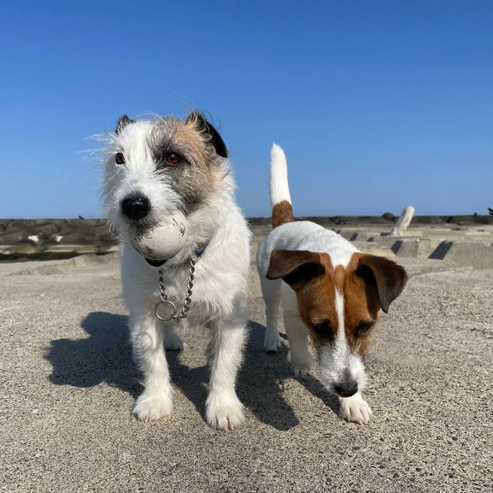 59c15c6c 09ab 4605 9b7c e9fe2cfb8ec9 1648948747338