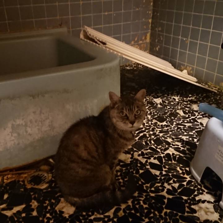 59c17f1a b1a7 4c1e ab2d 9eb6c72c846b 1570612626664