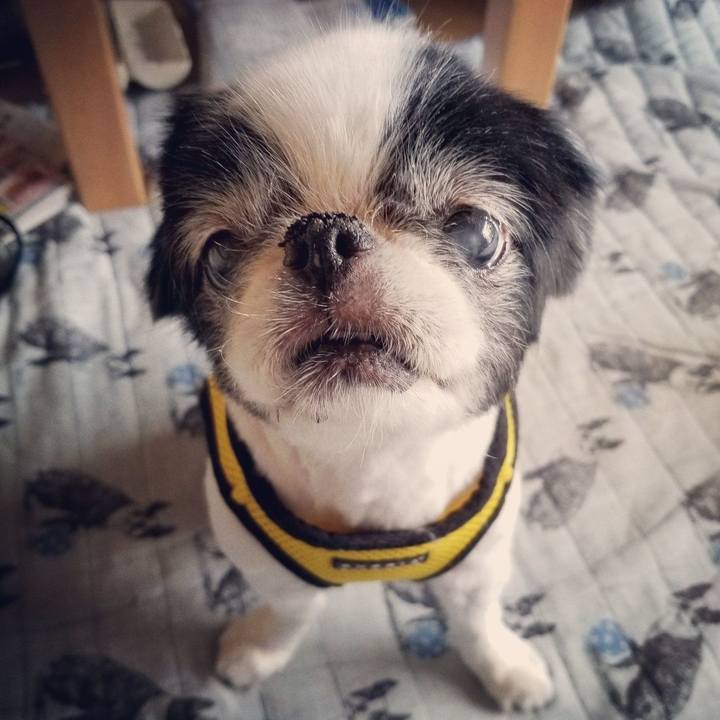 59c187c5 08eb 4177 8762 e8522dfa8207 1635583489028