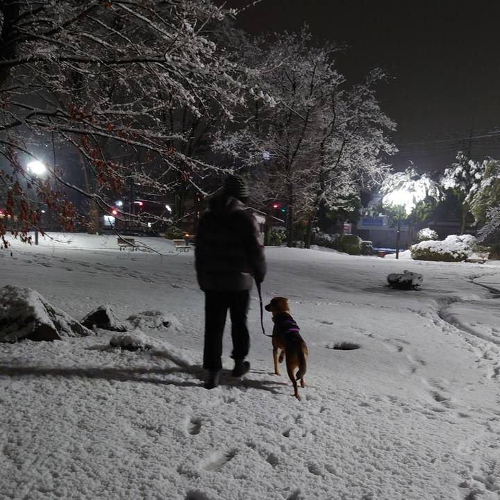 59c195a8 601c 440a 9551 cdff5db187d7 1707144779036