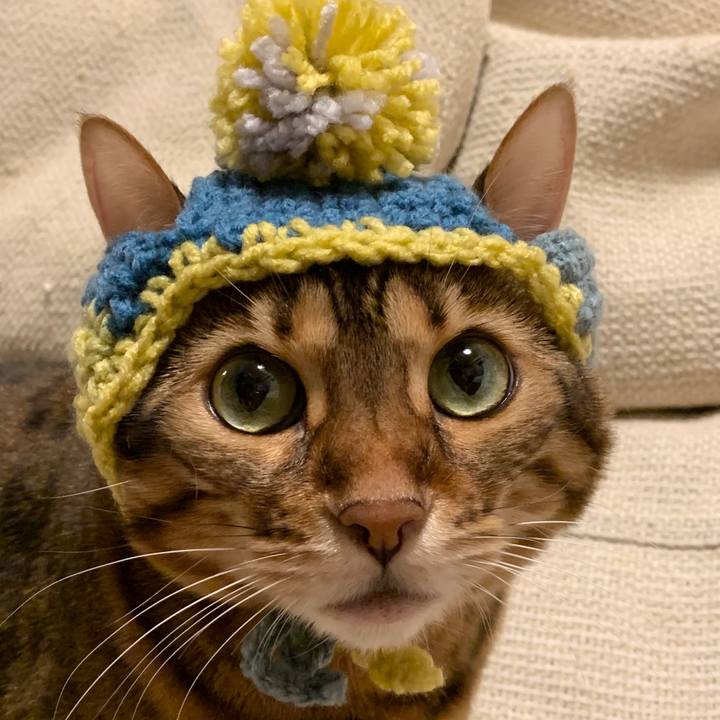 59c1e8a2 aba8 49b6 927a 65ef347e58ce 1600211110838