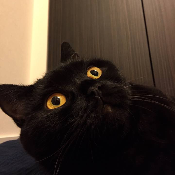 59c1f110 56ee 4e58 849c 8311432aeda1 1572616399914