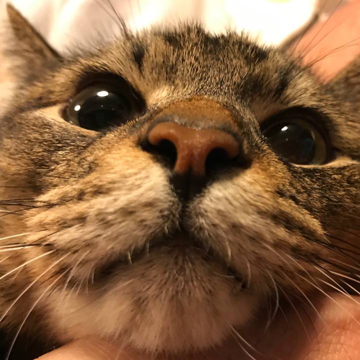 59c1fcbb f77c 4b15 a5c6 dea388fae2d5 1508953023063