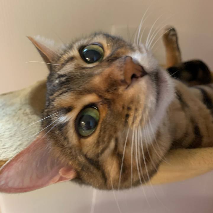 59c20b3d 39b9 474c 83e9 f42df3d812b0 1621897724253