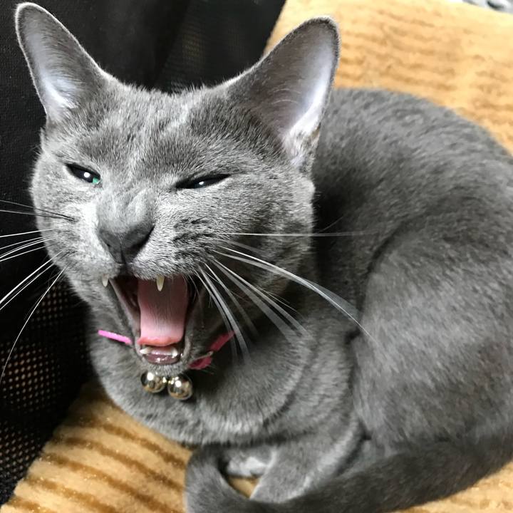 59c20cc2 cb25 49f3 954c c4a466d308c9 1524977948061